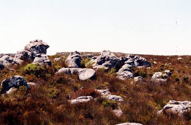 Oberfläche des Tafelberges
